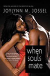 When Souls Mate Cover