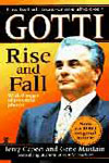 Gotti Rise and Fall Cover