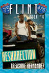 Flint: Book 4 Cover