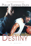 Playing with Destiny Cover