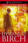 Shattered Souls Cover